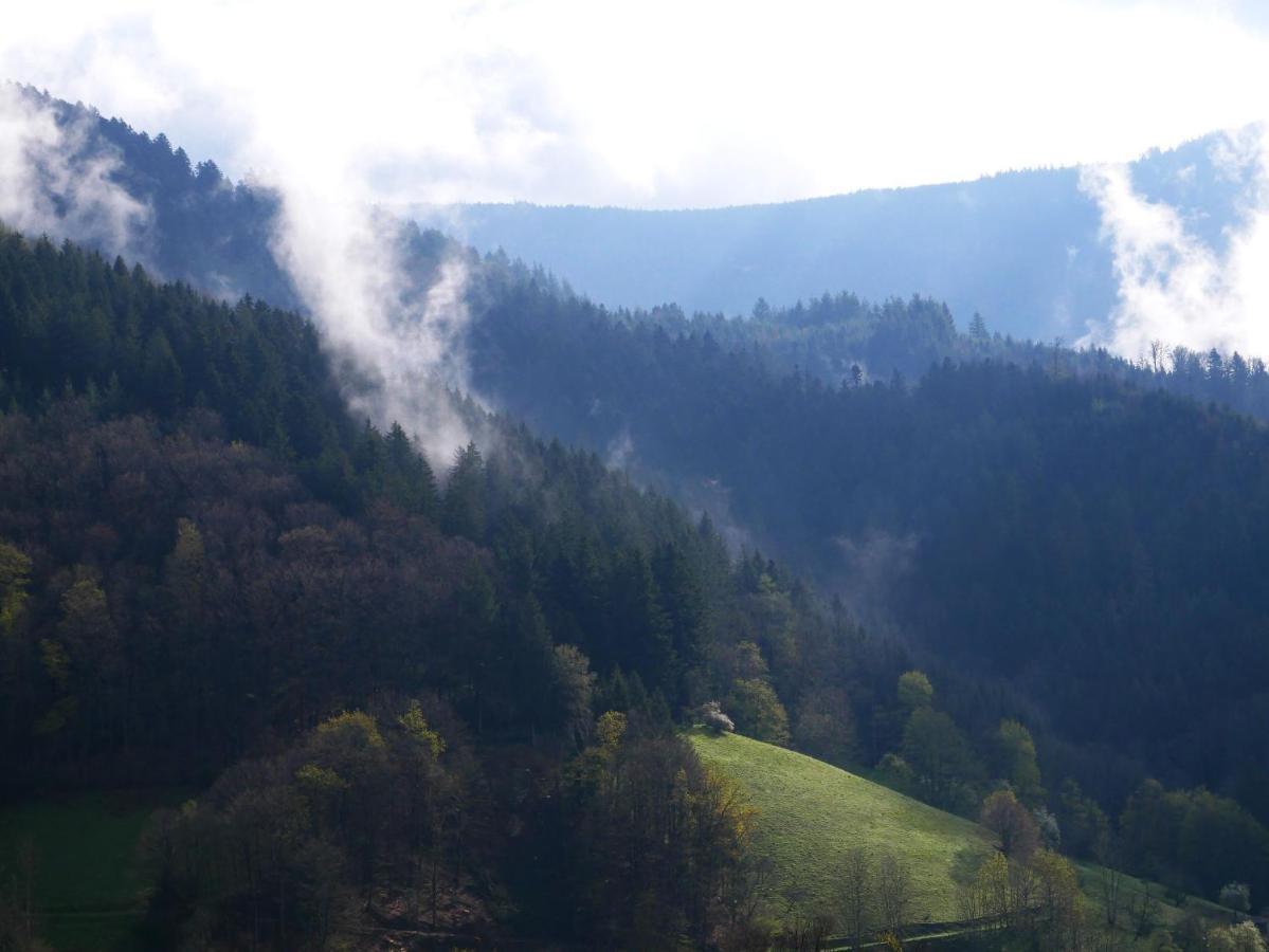 Buehlbauernhof Βίλα Bad Peterstal-Griesbach Εξωτερικό φωτογραφία