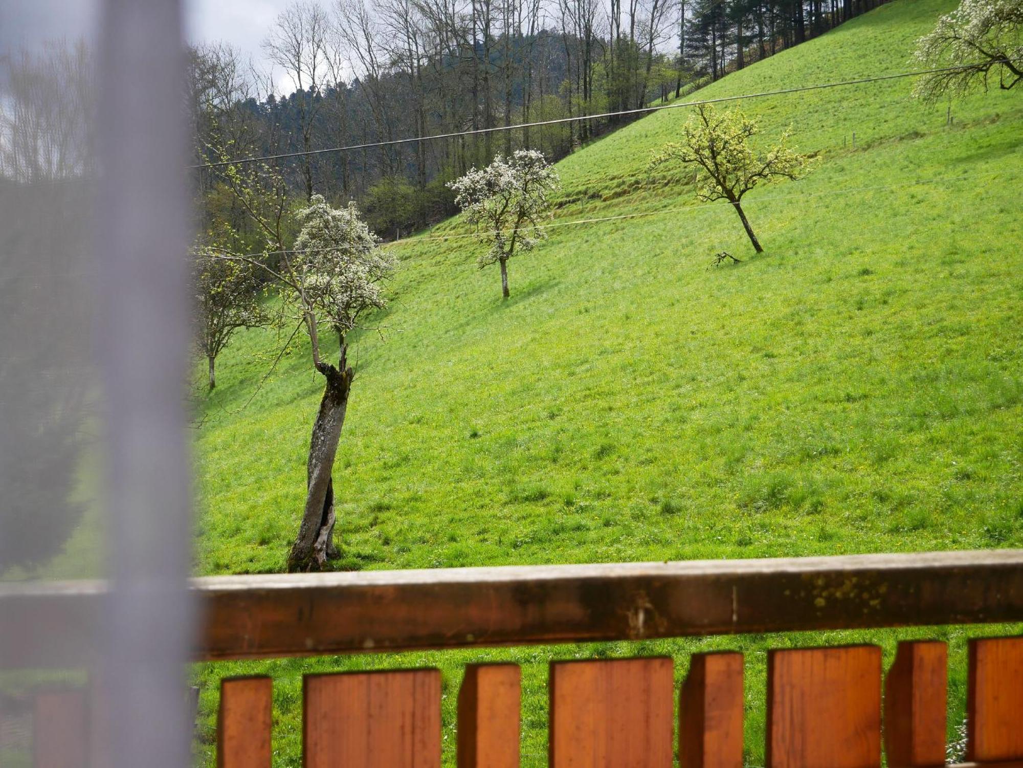 Buehlbauernhof Βίλα Bad Peterstal-Griesbach Εξωτερικό φωτογραφία