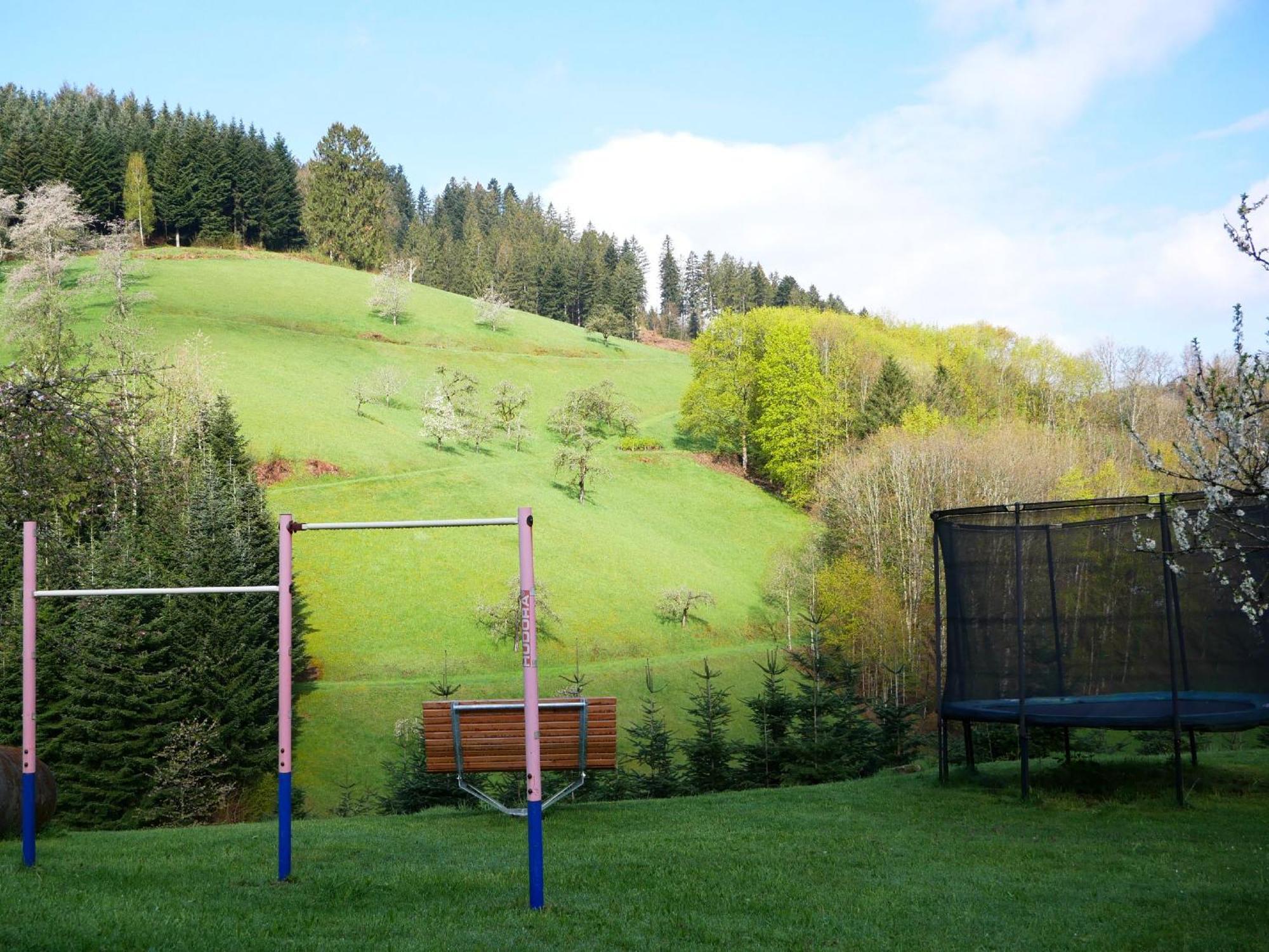 Buehlbauernhof Βίλα Bad Peterstal-Griesbach Εξωτερικό φωτογραφία