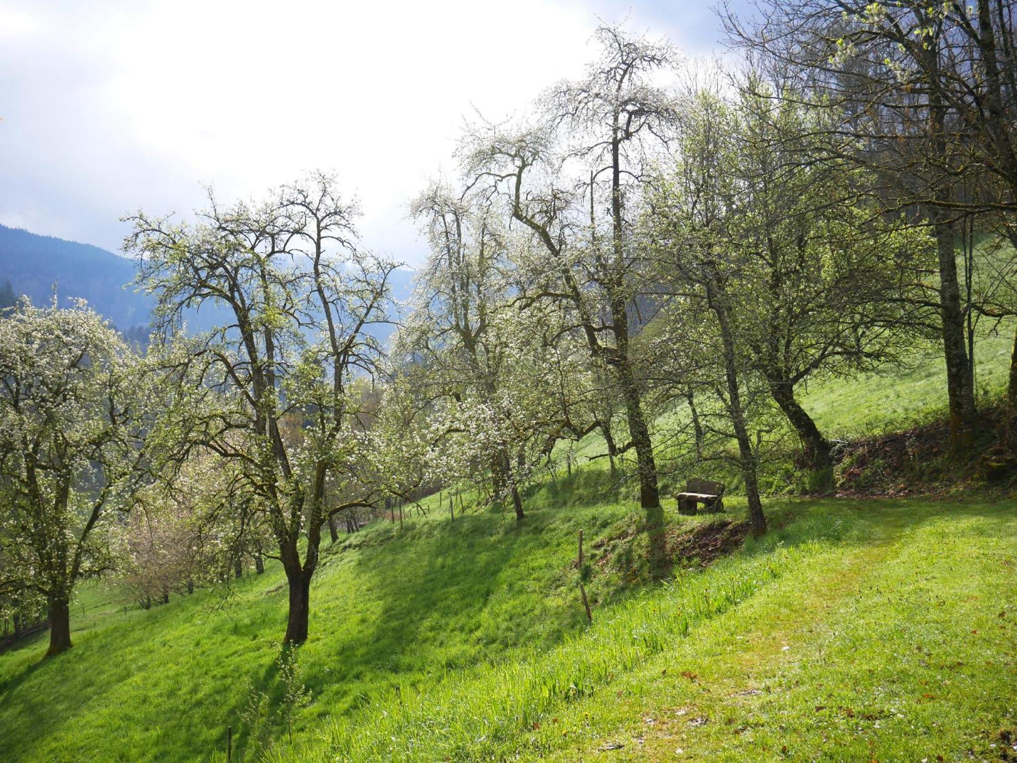 Buehlbauernhof Βίλα Bad Peterstal-Griesbach Εξωτερικό φωτογραφία